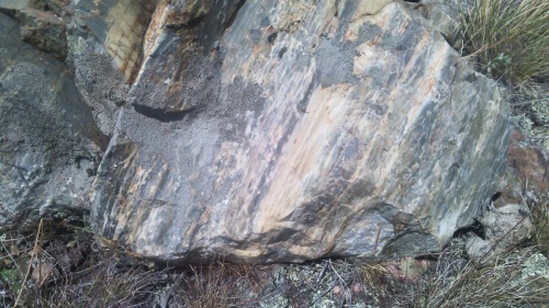 Гигантские зелёные валуны для ландшафтного дизайна весом более 5 тонн купить в Югорске