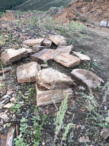 Плитняк кора дерева 50-100мм для пошаговых дорожек купить в Югорске